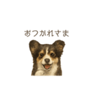 ほんのりリアルな犬の気持ち（個別スタンプ：16）