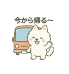 ハクの部屋／日常使えるスタンプ5（個別スタンプ：3）