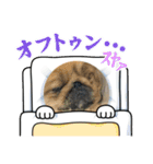 2025年 王子と神美夢③（個別スタンプ：15）