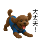 茶色トイプードル3D編（個別スタンプ：16）