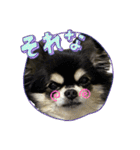ぽてとまめVol.4（個別スタンプ：23）