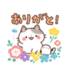 Emmaの ねこいろいろスタンプ 2（個別スタンプ：1）