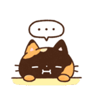 Emmaの ねこいろいろスタンプ 2（個別スタンプ：30）