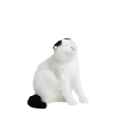 おもしろスコティッシュフォールド （NT）（個別スタンプ：28）