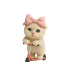 スコティッシュフォールドの子猫 （NT）.（個別スタンプ：10）