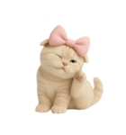 スコティッシュフォールドの子猫 （NT）.（個別スタンプ：19）