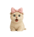スコティッシュフォールドの子猫 （NT）.（個別スタンプ：20）
