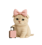 スコティッシュフォールドの子猫 （NT）.（個別スタンプ：34）