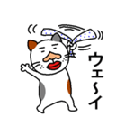 ぐ～たら猫、モル（個別スタンプ：31）