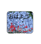 あじさいちゃんの心♡（個別スタンプ：1）
