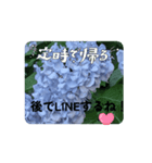 あじさいちゃんの心♡（個別スタンプ：4）