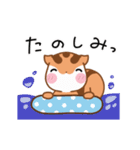 りすたんの梅雨と七夕と夏！！標準語ver（個別スタンプ：12）