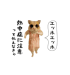 お猫様の吹き出しスタンプ7（個別スタンプ：4）