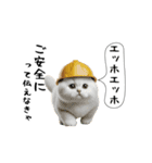 お猫様の吹き出しスタンプ7（個別スタンプ：5）