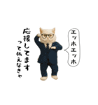 お猫様の吹き出しスタンプ7（個別スタンプ：8）