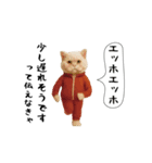 お猫様の吹き出しスタンプ7（個別スタンプ：12）