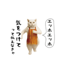 お猫様の吹き出しスタンプ7（個別スタンプ：13）