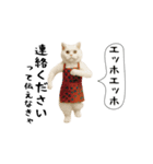 お猫様の吹き出しスタンプ7（個別スタンプ：18）