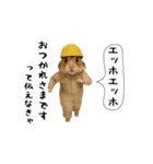 お猫様の吹き出しスタンプ7（個別スタンプ：21）