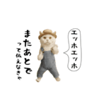 お猫様の吹き出しスタンプ7（個別スタンプ：23）