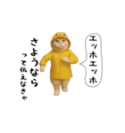 お猫様の吹き出しスタンプ7（個別スタンプ：24）