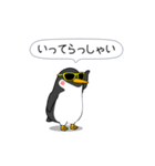 闇ペンギン【使用難易度★☆☆】（個別スタンプ：11）