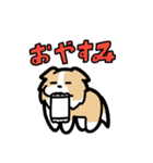 日常でも使える！ボーダーコリー！茶白（個別スタンプ：2）