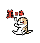 日常でも使える！ボーダーコリー！茶白（個別スタンプ：6）
