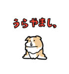 日常でも使える！ボーダーコリー！茶白（個別スタンプ：7）