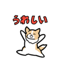 日常でも使える！ボーダーコリー！茶白（個別スタンプ：8）