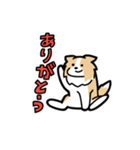 日常でも使える！ボーダーコリー！茶白（個別スタンプ：10）
