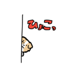 日常でも使える！ボーダーコリー！茶白（個別スタンプ：14）