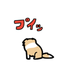 日常でも使える！ボーダーコリー！茶白（個別スタンプ：15）