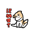 日常でも使える！ボーダーコリー！茶白（個別スタンプ：16）