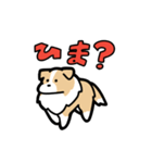 日常でも使える！ボーダーコリー！茶白（個別スタンプ：20）