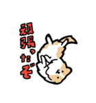 日常でも使える！ボーダーコリー！茶白（個別スタンプ：22）