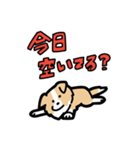 日常でも使える！ボーダーコリー！茶白（個別スタンプ：25）