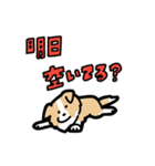 日常でも使える！ボーダーコリー！茶白（個別スタンプ：26）
