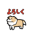 日常でも使える！ボーダーコリー！茶白（個別スタンプ：28）