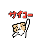 日常でも使える！ボーダーコリー！茶白（個別スタンプ：30）