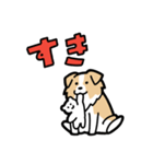 日常でも使える！ボーダーコリー！茶白（個別スタンプ：31）