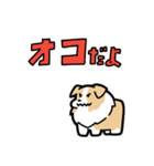 日常でも使える！ボーダーコリー！茶白（個別スタンプ：34）