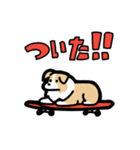 日常でも使える！ボーダーコリー！茶白（個別スタンプ：37）