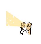 日常でも使える！ボーダーコリー！茶白（個別スタンプ：38）