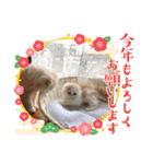 いやしのニャンコⅧ（個別スタンプ：2）