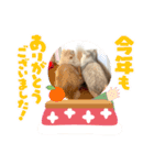いやしのニャンコⅧ（個別スタンプ：4）