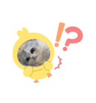 いやしのニャンコⅧ（個別スタンプ：14）