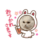 いやしのニャンコⅧ（個別スタンプ：15）