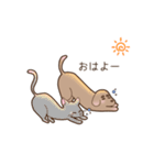 足短犬（個別スタンプ：1）