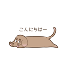足短犬（個別スタンプ：2）